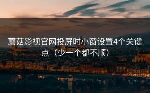 蘑菇影视官网投屏时小窗设置4个关键点（少一个都不顺）