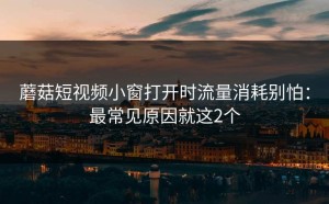 蘑菇短视频小窗打开时流量消耗别怕：最常见原因就这2个