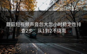 蘑菇短视频声音忽大忽小时稳定性排查2步：从1到2不绕弯