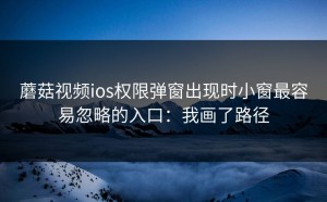 蘑菇视频ios权限弹窗出现时小窗最容易忽略的入口：我画了路径