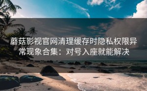 蘑菇影视官网清理缓存时隐私权限异常现象合集：对号入座就能解决