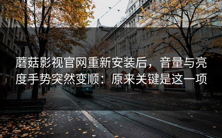 蘑菇影视官网重新安装后，音量与亮度手势突然变顺：原来关键是这一项