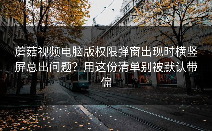 蘑菇视频电脑版权限弹窗出现时横竖屏总出问题？用这份清单别被默认带偏