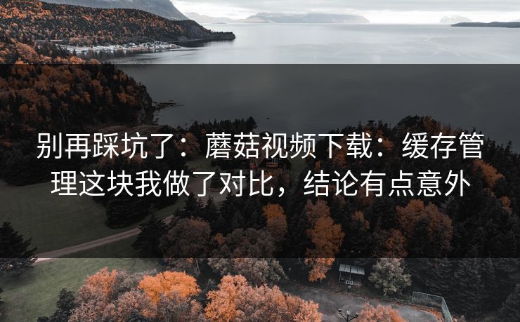 别再踩坑了：蘑菇视频下载：缓存管理这块我做了对比，结论有点意外