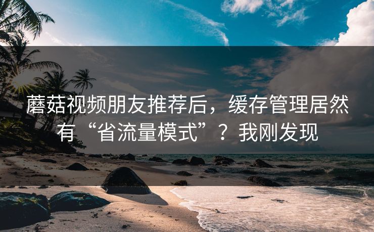 蘑菇视频朋友推荐后,缓存管理居然有“省流量模式”?我刚发现 蘑菇视频朋友推荐后,缓存管理居然有“省流量模式”?我刚发现