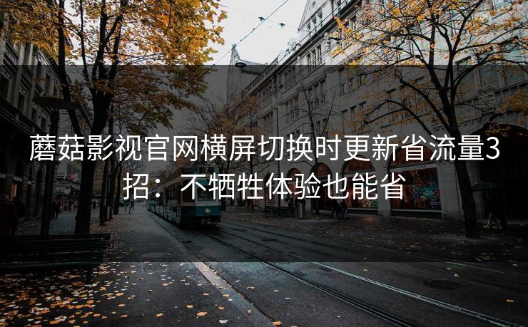 蘑菇影视官网横屏切换时更新省流量3招：不牺牲体验也能省