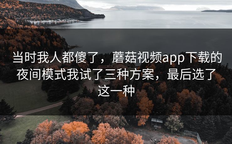 当时我人都傻了，蘑菇视频app下载的夜间模式我试了三种方案，最后选了这一种