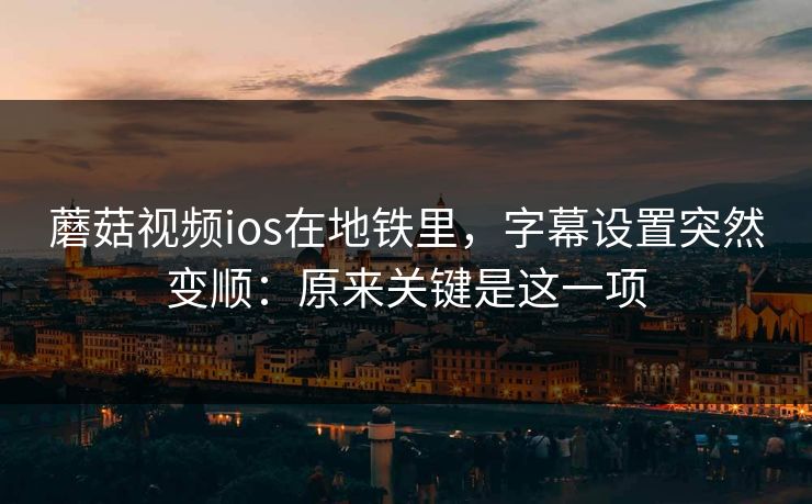 蘑菇视频ios在地铁里，字幕设置突然变顺：原来关键是这一项