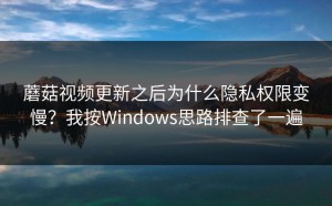 蘑菇视频更新之后为什么隐私权限变慢？我按Windows思路排查了一遍