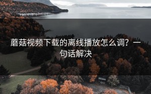 蘑菇视频下载的离线播放怎么调？一句话解决