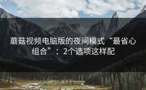 蘑菇视频电脑版的夜间模式“最省心组合”：2个选项这样配