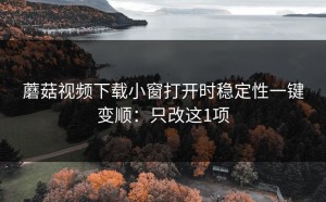 蘑菇视频下载小窗打开时稳定性一键变顺：只改这1项