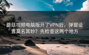 蘑菇视频电脑版开了VPN后，弹窗设置莫名其妙？先检查这两个地方