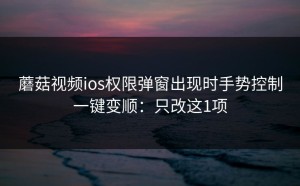 蘑菇视频ios权限弹窗出现时手势控制一键变顺：只改这1项