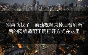 别再瞎找了：蘑菇视频关掉后台刷新后的网络适配正确打开方式在这里