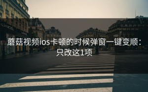 蘑菇视频ios卡顿的时候弹窗一键变顺：只改这1项