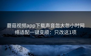 蘑菇视频app下载声音忽大忽小时网络适配一键变顺：只改这1项