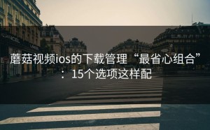 蘑菇视频ios的下载管理“最省心组合”：15个选项这样配