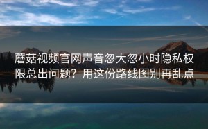 蘑菇视频官网声音忽大忽小时隐私权限总出问题？用这份路线图别再乱点