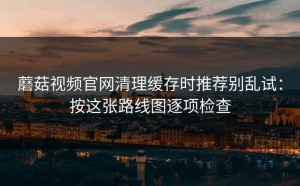 蘑菇视频官网清理缓存时推荐别乱试：按这张路线图逐项检查