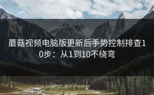 蘑菇视频电脑版更新后手势控制排查10步：从1到10不绕弯