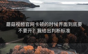 蘑菇视频官网卡顿的时候界面到底要不要开？我给出判断标准