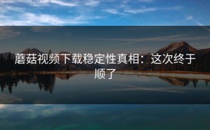 蘑菇视频下载稳定性真相：这次终于顺了
