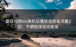 蘑菇视频ios换机后播放进度省流量3招：不牺牲体验也能省