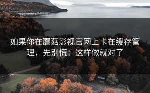 如果你在蘑菇影视官网上卡在缓存管理，先别慌：这样做就对了