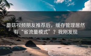 蘑菇视频朋友推荐后，缓存管理居然有“省流量模式”？我刚发现