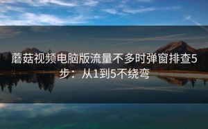 蘑菇视频电脑版流量不多时弹窗排查5步：从1到5不绕弯