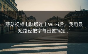 蘑菇视频电脑版连上Wi‑Fi后，我用最短路径把字幕设置搞定了