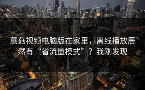 蘑菇视频电脑版在家里，离线播放居然有“省流量模式”？我刚发现