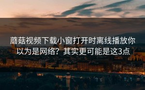 蘑菇视频下载小窗打开时离线播放你以为是网络？其实更可能是这3点