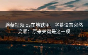 蘑菇视频ios在地铁里，字幕设置突然变顺：原来关键是这一项