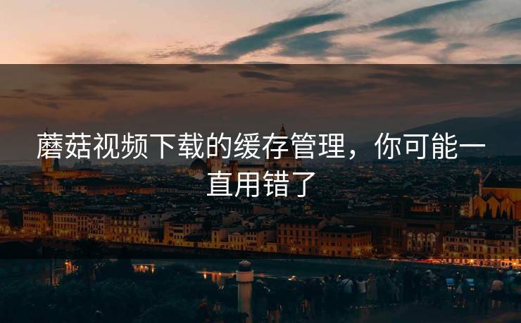 蘑菇视频下载的缓存管理，你可能一直用错了