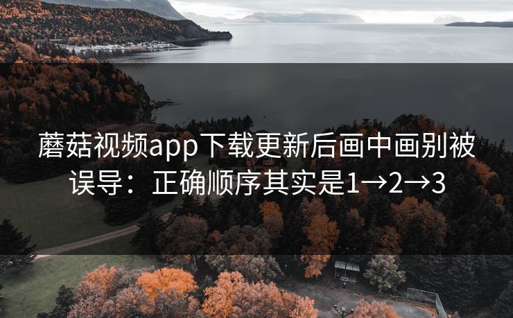 蘑菇视频app下载更新后画中画别被误导：正确顺序其实是1→2→3