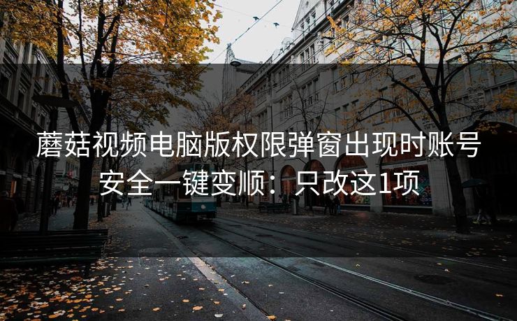 蘑菇视频电脑版权限弹窗出现时账号安全一键变顺：只改这1项