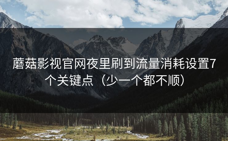 蘑菇影视官网夜里刷到流量消耗设置7个关键点(少一个都不顺) 蘑菇影视官网夜里刷到流量消耗设置7个关键点(少一个都不顺)
